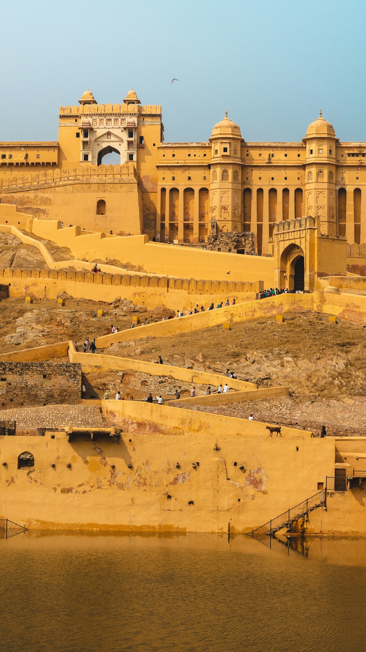 AXON programs in Rajasthan